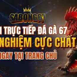 67 da ga truc tiep