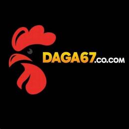 67 đá gà