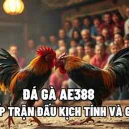 ae388 đá gà thomo