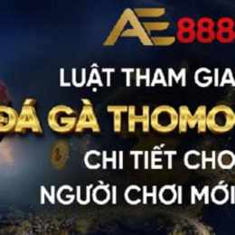 ae88 đá gà us