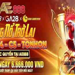 ae888 đá gà auction