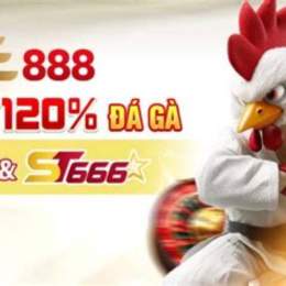 ae888 đá gà cựa sắt
