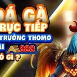 ae888 da ga thomo