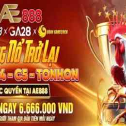 ae888 đá gà trực tiếp
