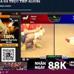 alo789 đá gà trực tiếp thomo