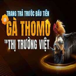 alo+789+đá+gà