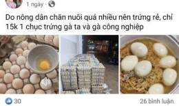 ảnh chụp màn hình bán trứng gà đá