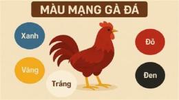 ảnh chụp màn hình bảng màu mạng gà đá