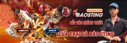 ảnh chụp màn hình bảo sting đá gà