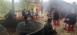 ảnh chụp màn hình bắt đá gà ở tiền giang mới nhất
