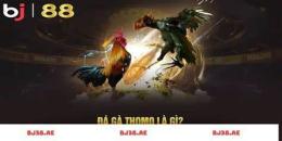 ảnh chụp màn hình bj27 đá gà