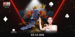 ảnh chụp màn hình cá cược đá gà m88