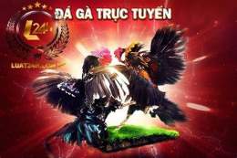 ảnh chụp màn hình ca cuoc da ga online