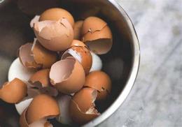 ảnh chụp màn hình cách chữa dạ dày bằng trứng gà