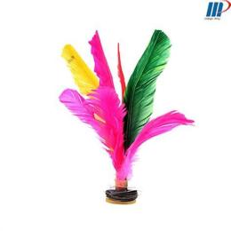 ảnh chụp màn hình cầu đá lông gà