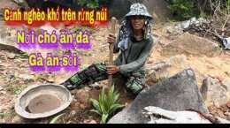 ảnh chụp màn hình chó ăn đá gà ăn sỏi có phải thành ngữ không