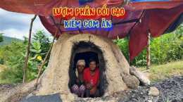 ảnh chụp màn hình chó ăn đá gà ăn sỏi là gì