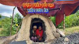 ảnh chụp màn hình chó ăn đá gà ăn sỏi là tỉnh nào