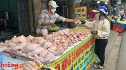 ảnh chụp màn hình chợ tốt gà đã hóc môn