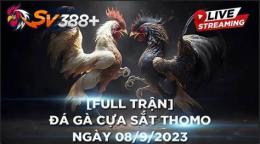 ảnh chụp màn hình coi đá gà thomo hôm nay