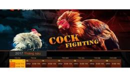 ảnh chụp màn hình coi đá gà trực tiếp c3