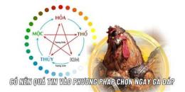 ảnh chụp màn hình coi mạng đá gà