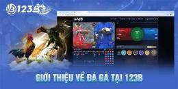ảnh chụp màn hình đá gà 123b 123b.software