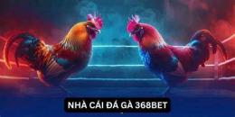 ảnh chụp màn hình đá gà 368 bet