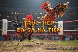 ảnh chụp màn hình đá gà bồ hà tiên