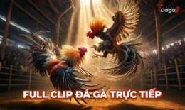 ảnh chụp màn hình đá gà c1 thomo