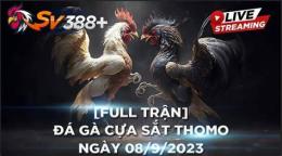 ảnh chụp màn hình đá gà c2 thomo hôm nay