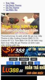 ảnh chụp màn hình đá gà c3 trận 31