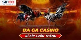ảnh chụp màn hình đá gà casino c3
