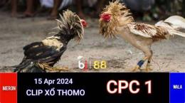 ảnh chụp màn hình đá gà cpc1 5 4