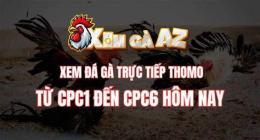 ảnh chụp màn hình đá gà cpc6 hôm nay