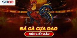 ảnh chụp màn hình đá gà cựa dao trang 67