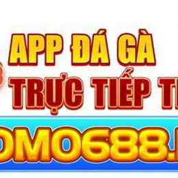 app đá gà mạng