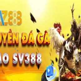 az88 đá gà trực tiếp
