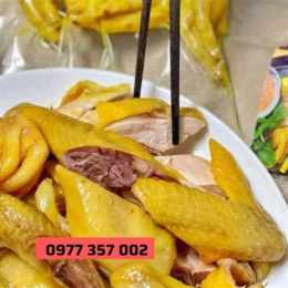 bán da gà tươi