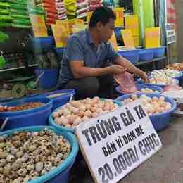 bán trứng gà đá