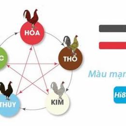 bảng màu mạng gà đá
