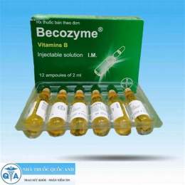 becozyme cho gà đá