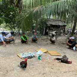 bị bắt đá gà