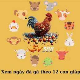 bí kíp xem ngày đá gà