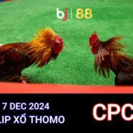 bi88 đá gà thomo trực tiếp