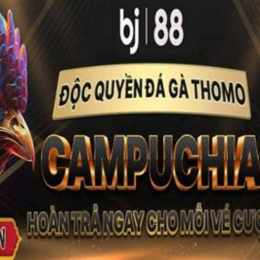 bi88 đá gà trực tiếp