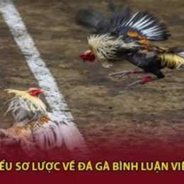bình luận viên đá gà thomo