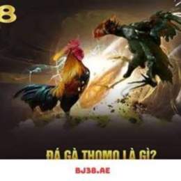 bj27 đá gà