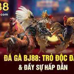 bj88 da ga thomo