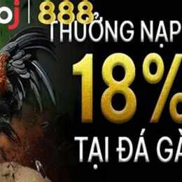 bj888 đá gà